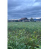 Farmhouse, Party, Event, Djs